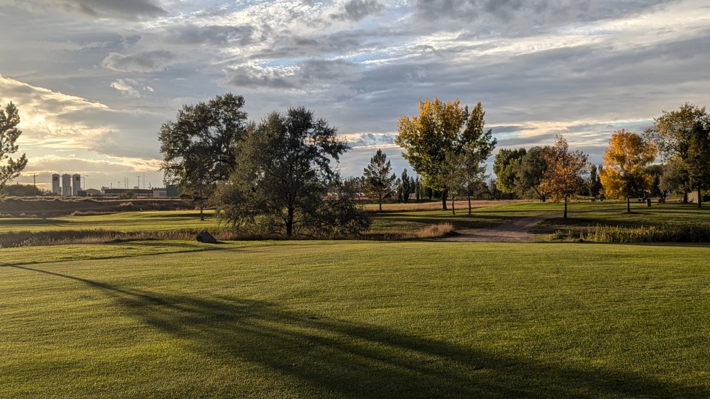 Trees on golf course fairway
